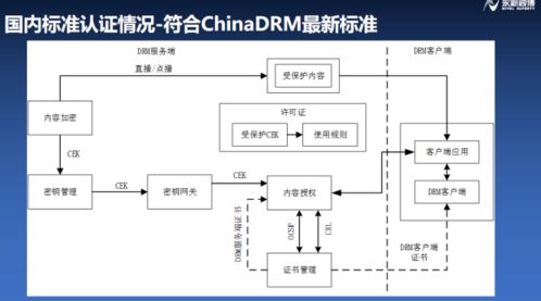 構(gòu)建符合融媒體安全的版權(quán)保護(hù)系統(tǒng)——浦江論道永新視博李自東談IPTV行業(yè)健康生態(tài)軟件開(kāi)發(fā)
